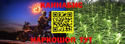 сатива Будённовск