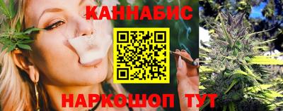 сатива Будённовск