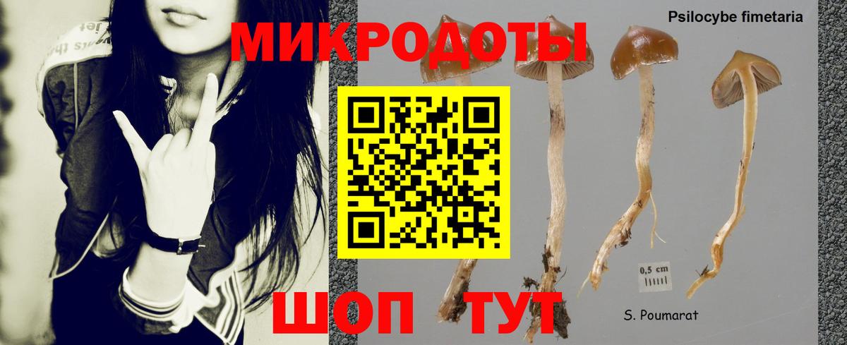 Галлюциногенные грибы MAGIC MUSHROOMS  Вход с VPN  Заринск 